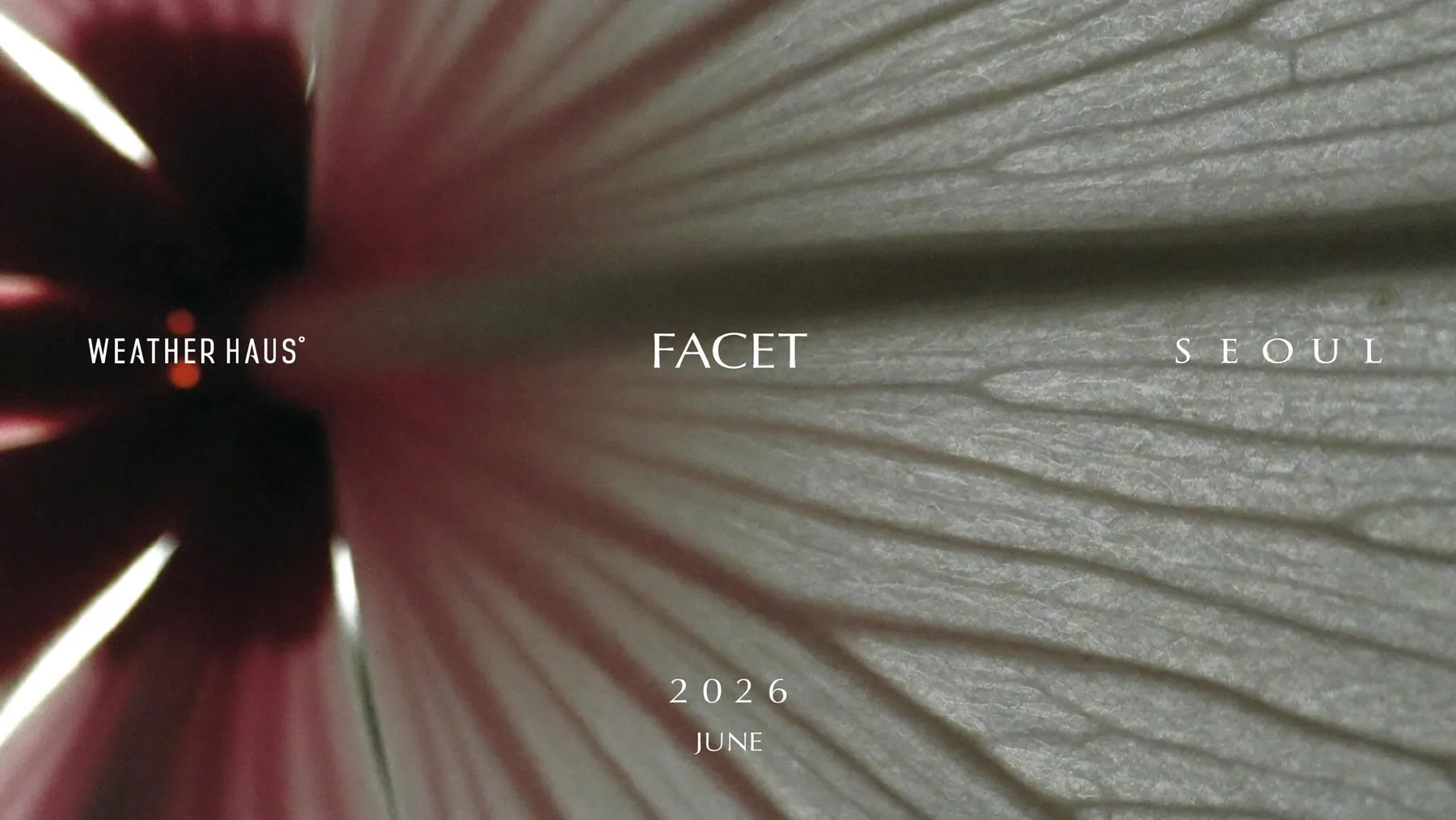 WEATHERHAUS FACET 2026 키 비주얼